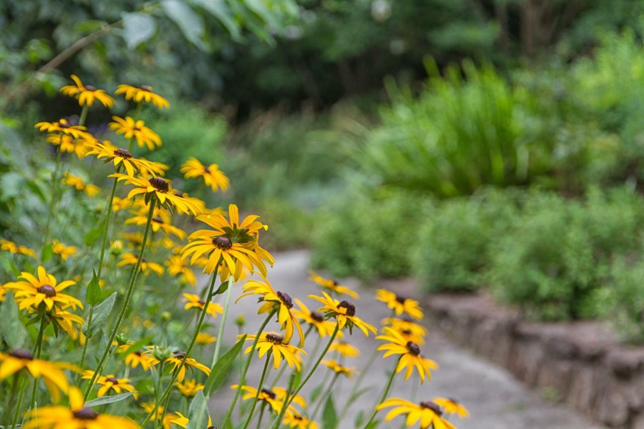 Nesuto Leura Gardens Hotel Luaran gambar